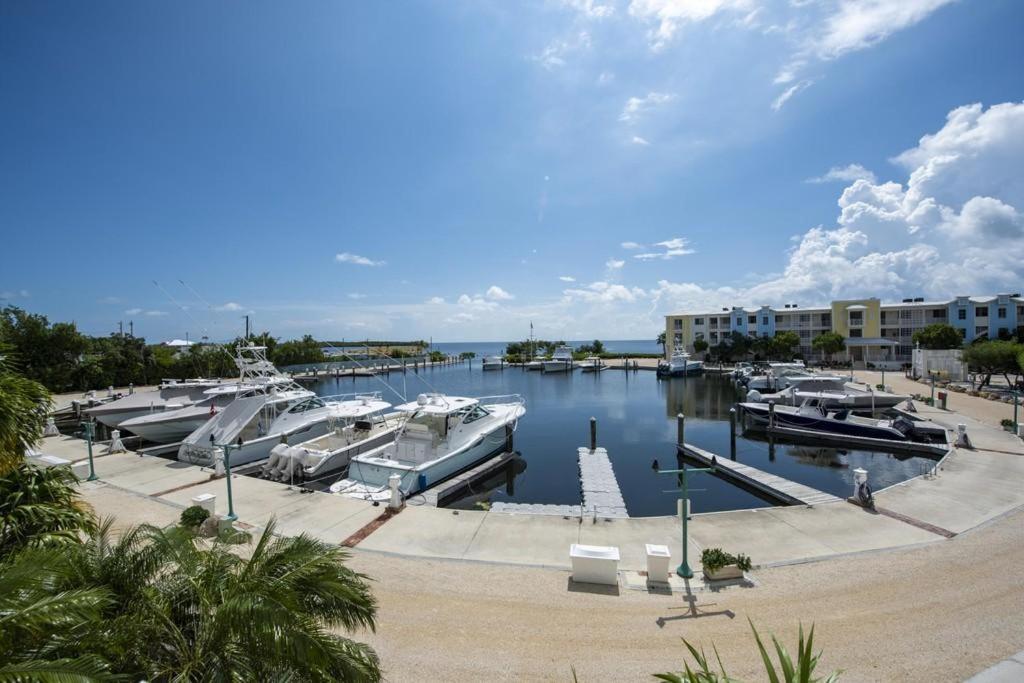Licensed Mgr - 3/3.5 Modern Villa - Key Largo'S Premier Oceanfront Resort And Marina! Екстериор снимка